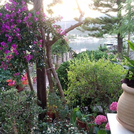 Skiathos Riviera Studios Punta Екстериор снимка