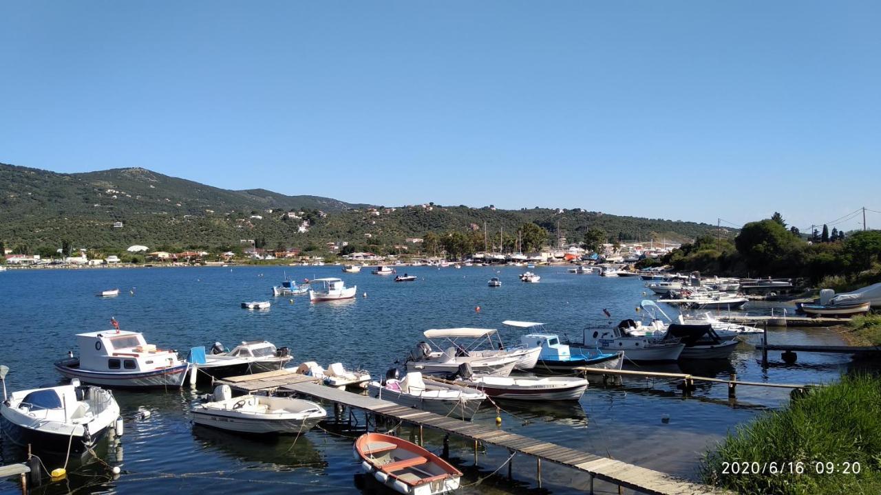 Skiathos Riviera Studios Punta Екстериор снимка