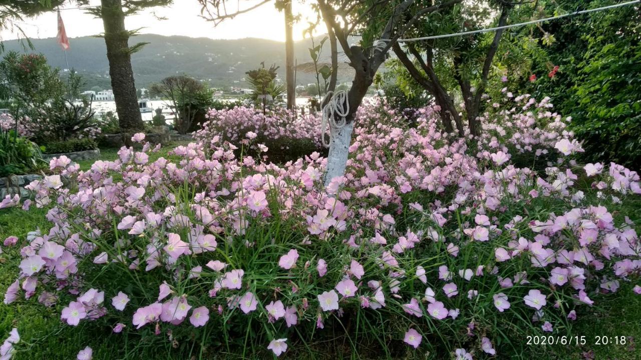 Skiathos Riviera Studios Punta Екстериор снимка
