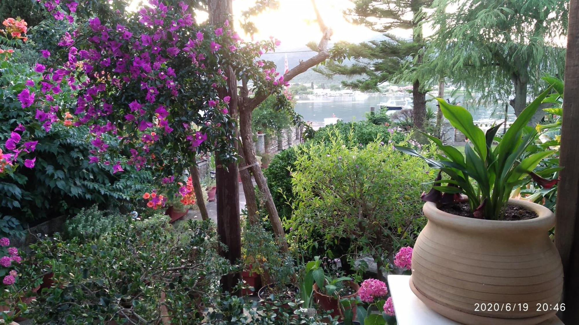 Skiathos Riviera Studios Punta Екстериор снимка