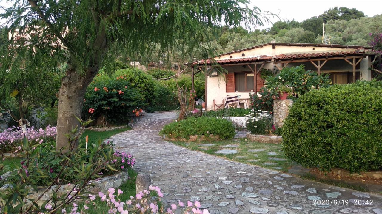 Skiathos Riviera Studios Punta Екстериор снимка