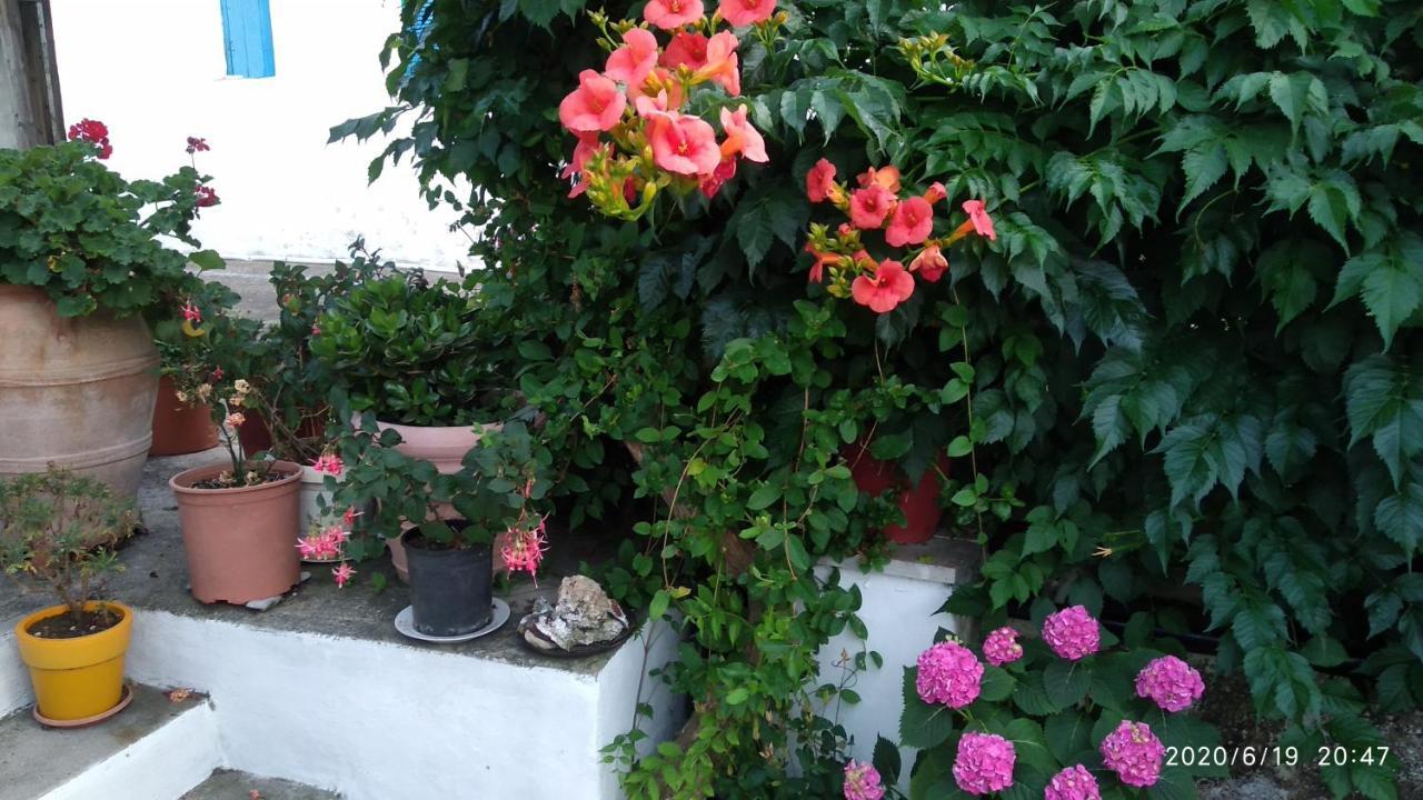 Skiathos Riviera Studios Punta Екстериор снимка