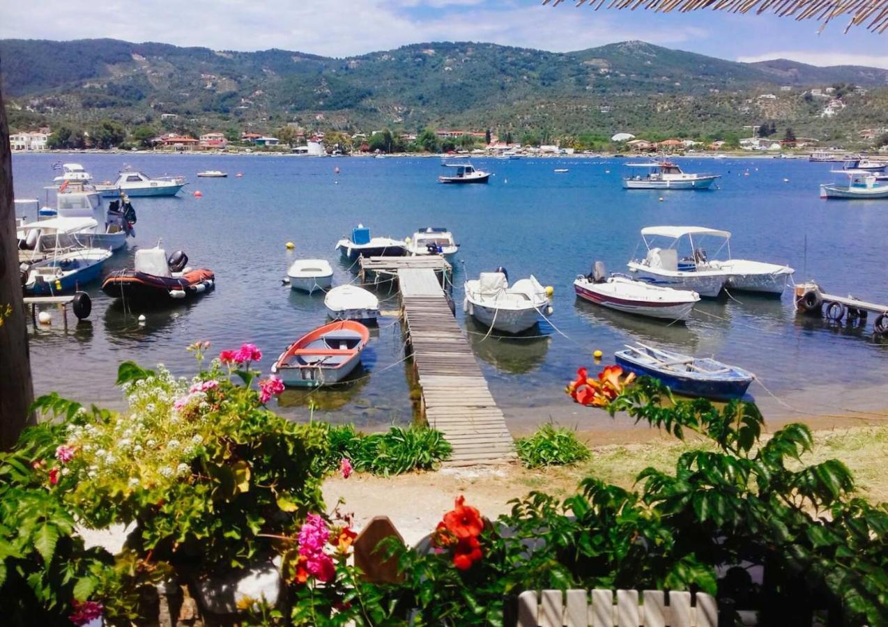 Skiathos Riviera Studios Punta Екстериор снимка